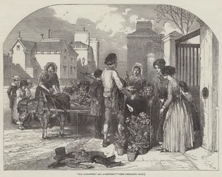 Tout souffle! Tout pousse!